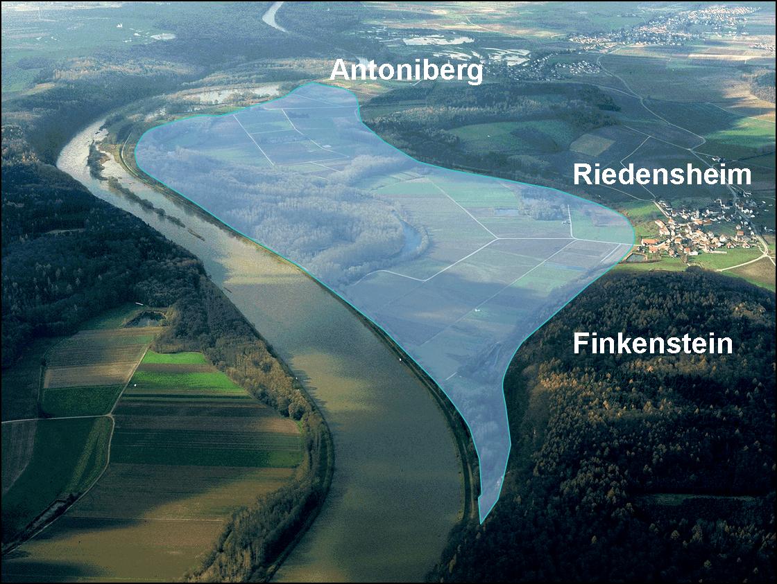 Mehr über den Artikel erfahren Flutpolder Riedesheim